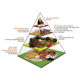 Food Pyramid