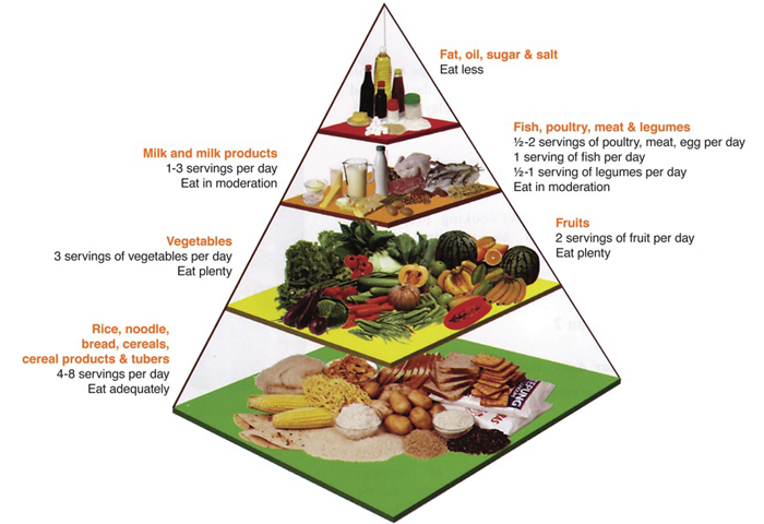 食物金字塔